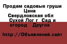 Продам садовые груши    › Цена ­ 200 - Свердловская обл., Сухой Лог г. Сад и огород » Другое   